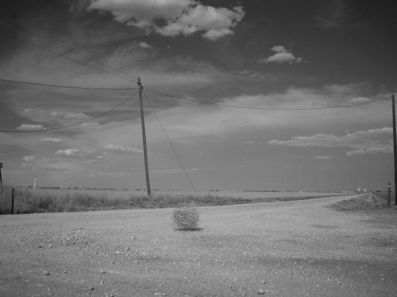 tumbleweed