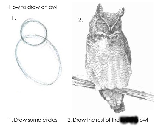 owl