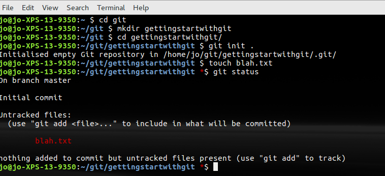 git status current directory only